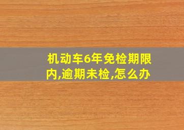 机动车6年免检期限内,逾期未检,怎么办