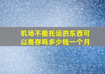 机场不能托运的东西可以寄存吗多少钱一个月