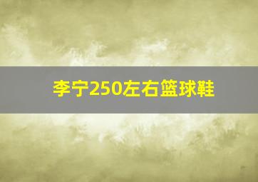 李宁250左右篮球鞋