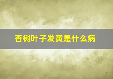 杏树叶子发黄是什么病