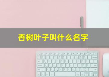 杏树叶子叫什么名字