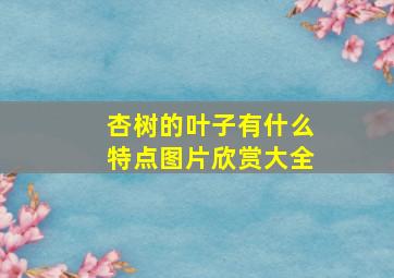 杏树的叶子有什么特点图片欣赏大全