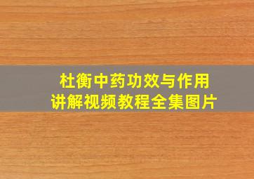 杜衡中药功效与作用讲解视频教程全集图片