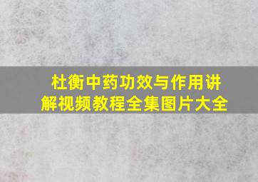 杜衡中药功效与作用讲解视频教程全集图片大全