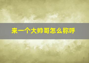 来一个大帅哥怎么称呼