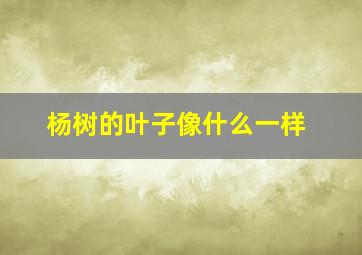 杨树的叶子像什么一样