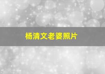 杨清文老婆照片