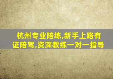 杭州专业陪练,新手上路有证陪驾,资深教练一对一指导