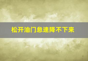 松开油门怠速降不下来