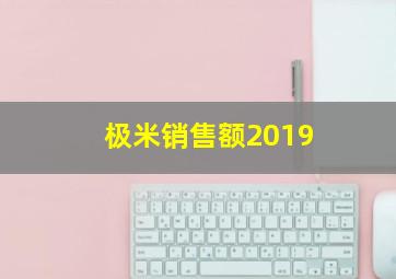 极米销售额2019