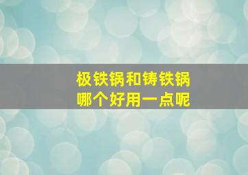 极铁锅和铸铁锅哪个好用一点呢