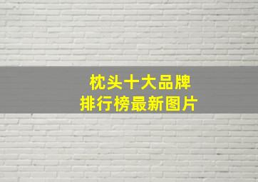 枕头十大品牌排行榜最新图片