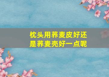 枕头用荞麦皮好还是荞麦壳好一点呢