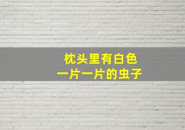 枕头里有白色一片一片的虫子