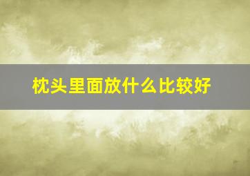 枕头里面放什么比较好