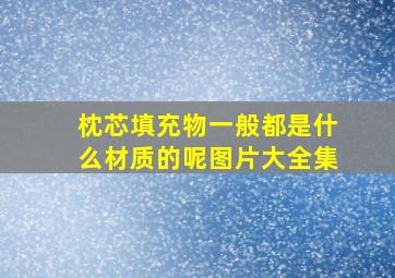 枕芯填充物一般都是什么材质的呢图片大全集