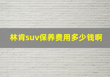 林肯suv保养费用多少钱啊