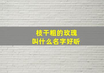 枝干粗的玫瑰叫什么名字好听