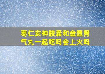 枣仁安神胶囊和金匮肾气丸一起吃吗会上火吗