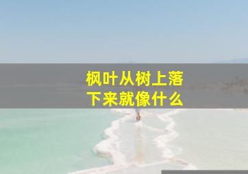 枫叶从树上落下来就像什么