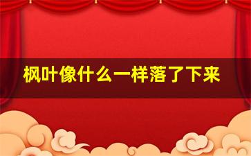 枫叶像什么一样落了下来