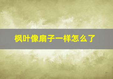 枫叶像扇子一样怎么了