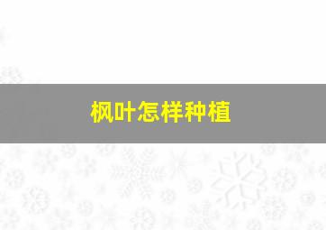 枫叶怎样种植