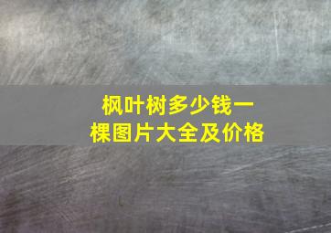 枫叶树多少钱一棵图片大全及价格