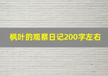 枫叶的观察日记200字左右