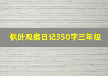 枫叶观察日记350字三年级