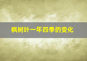 枫树叶一年四季的变化