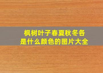 枫树叶子春夏秋冬各是什么颜色的图片大全