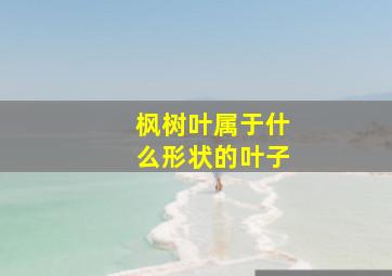 枫树叶属于什么形状的叶子