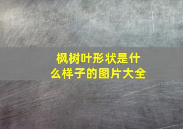 枫树叶形状是什么样子的图片大全