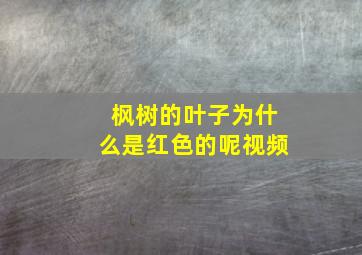 枫树的叶子为什么是红色的呢视频