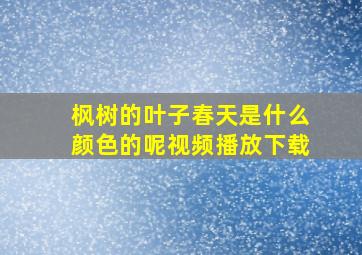 枫树的叶子春天是什么颜色的呢视频播放下载