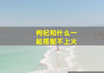 枸杞和什么一起搭配不上火