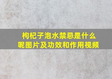 枸杞子泡水禁忌是什么呢图片及功效和作用视频