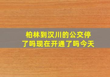 柏林到汉川的公交停了吗现在开通了吗今天