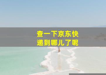 查一下京东快递到哪儿了呢