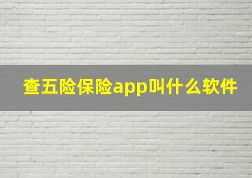 查五险保险app叫什么软件