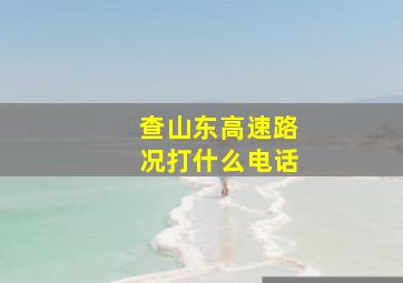 查山东高速路况打什么电话