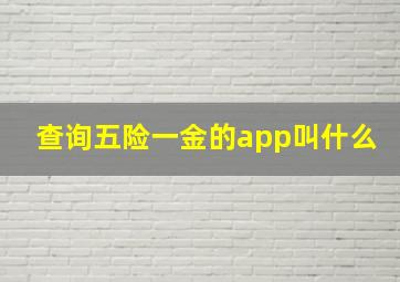 查询五险一金的app叫什么