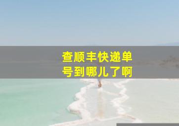 查顺丰快递单号到哪儿了啊