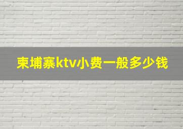 柬埔寨ktv小费一般多少钱