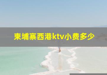 柬埔寨西港ktv小费多少