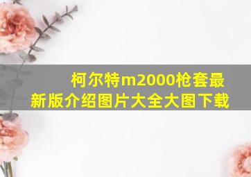 柯尔特m2000枪套最新版介绍图片大全大图下载