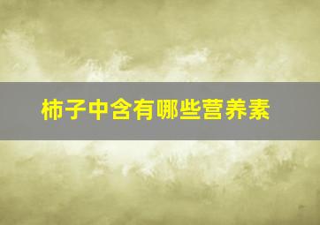 柿子中含有哪些营养素