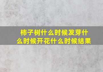 柿子树什么时候发芽什么时候开花什么时候结果