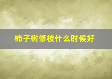 柿子树修枝什么时候好